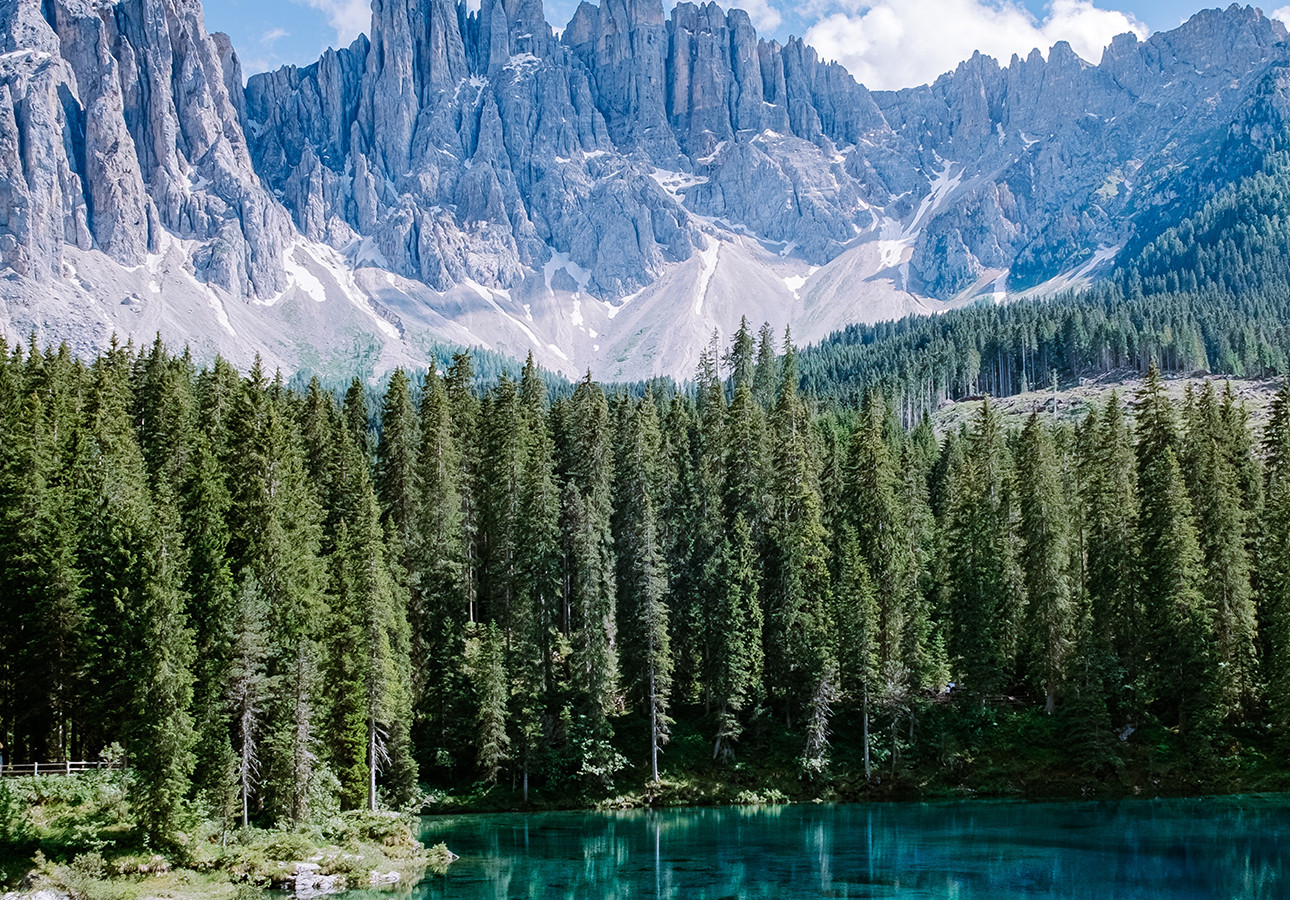 Lorem ipsum dolor sit amet, consectetur adipiscing elit. Duis elit ligula, ultricies nec leo quis, dignissim feugiat leo. 