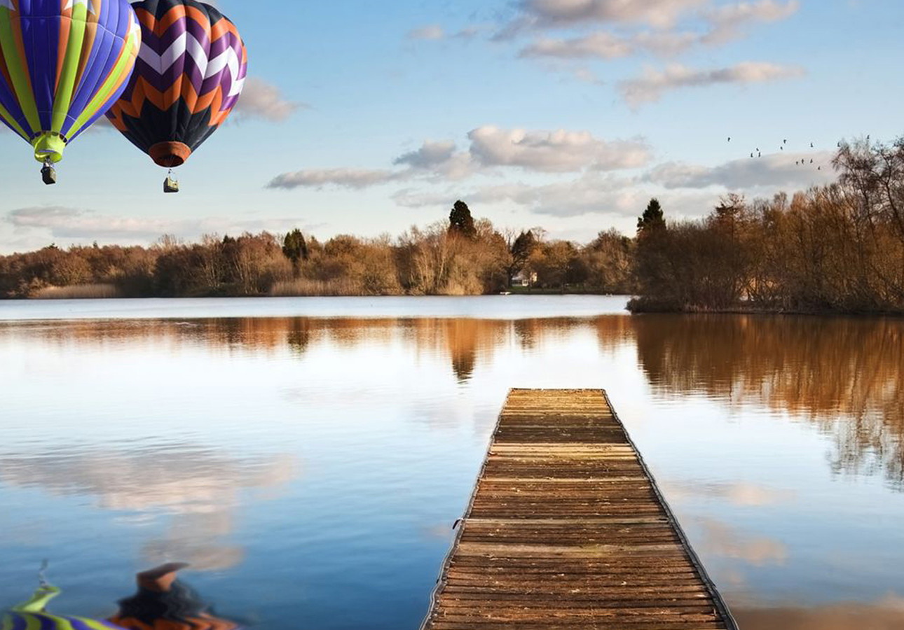 Lorem ipsum dolor sit amet, consectetur adipiscing elit. Duis elit ligula, ultricies nec leo quis, dignissim feugiat leo. 