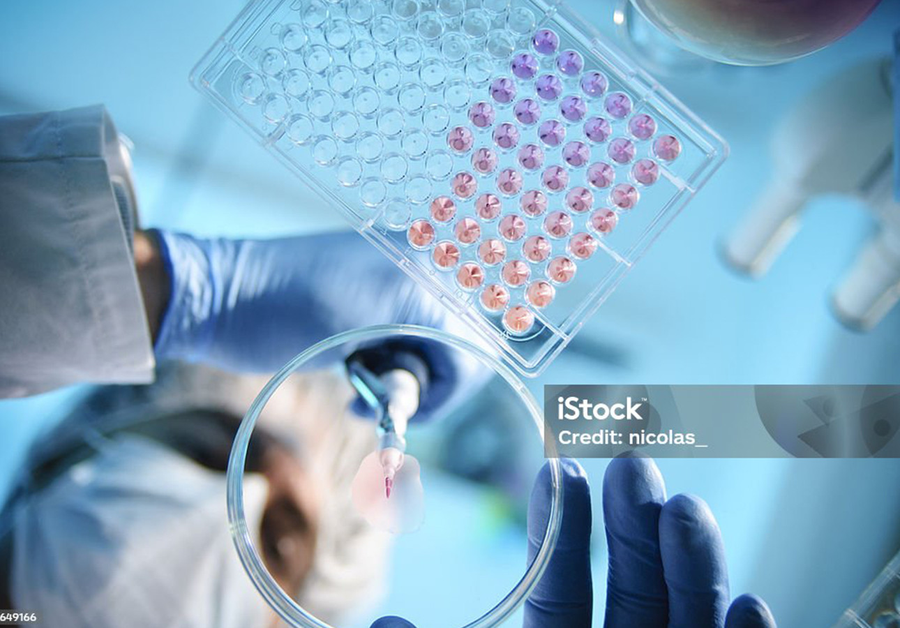 Workshop annuale del Laboratorio Nazionale di riferimento per l'Antibioticoresistenza e del Centro di Referenza Nazionale per l'Antibioticoresistenza