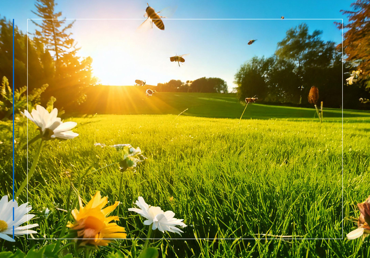 IZSLT - Apicoltura: secondo numero della Newsletter Better-B