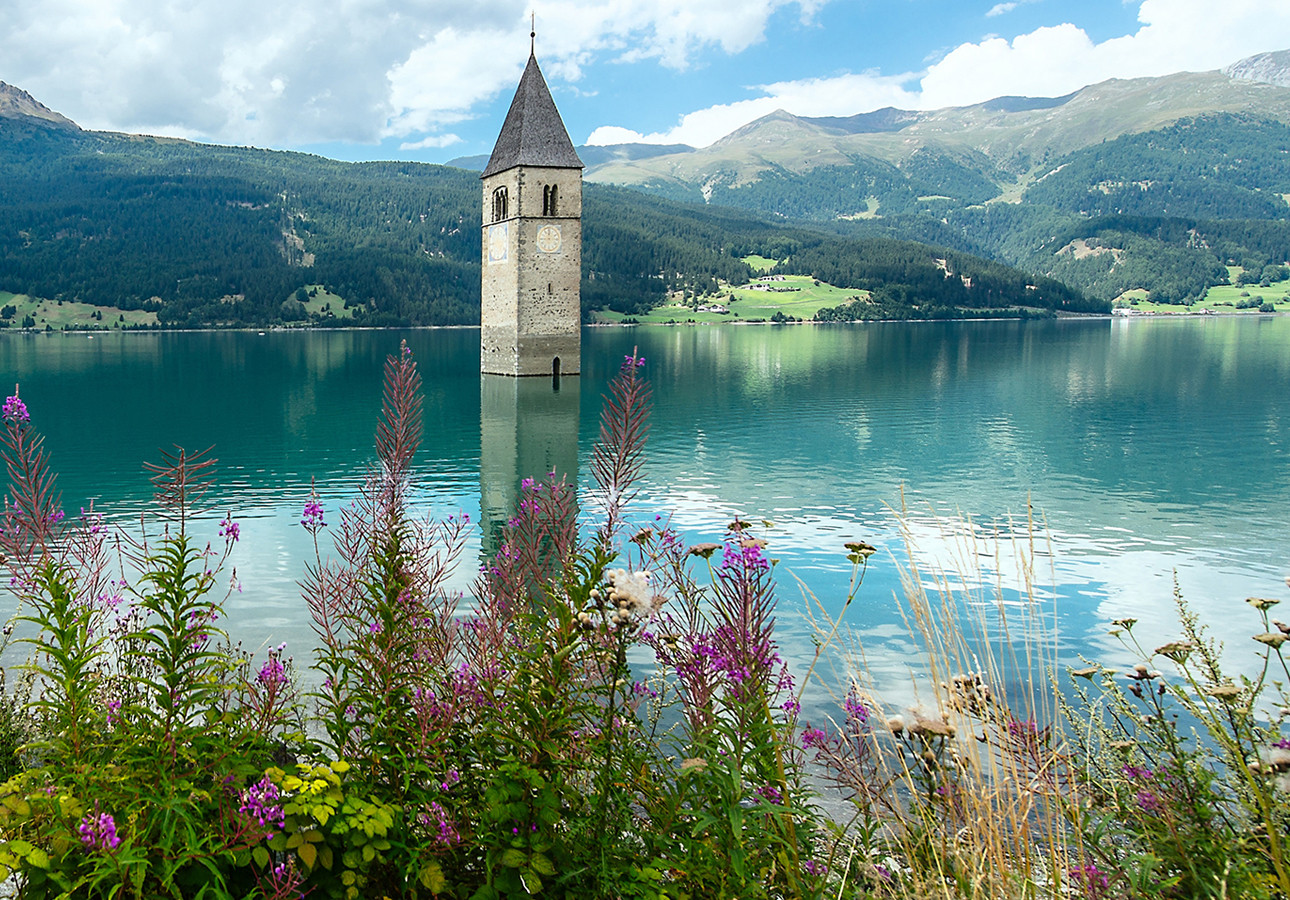 Primo caso di Trichinella spiralis in un lupo nella provincia di Rieti