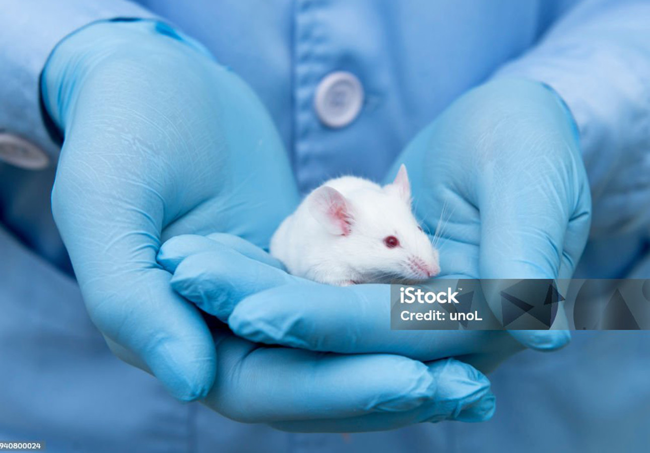 Bollettino legislativo N. 9 e 10