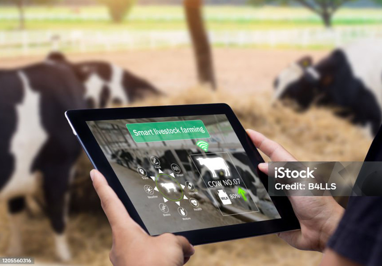 Premio Filippo Basile 2024 per la formazione nella P.a.:  segnalazione di merito all’IZS Lazio e Toscana M. Aleandri